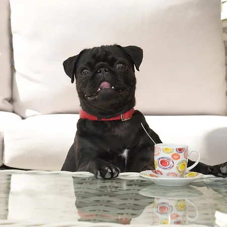 San Giorgio Milano Marittima