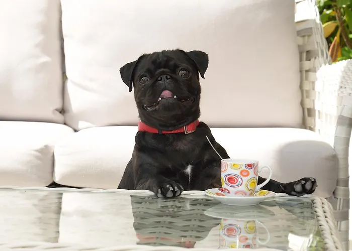 San Giorgio Milano Marittima