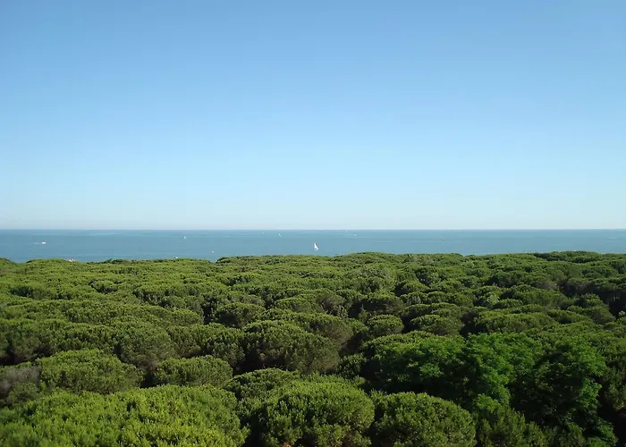 San Giorgio Milano Marittima